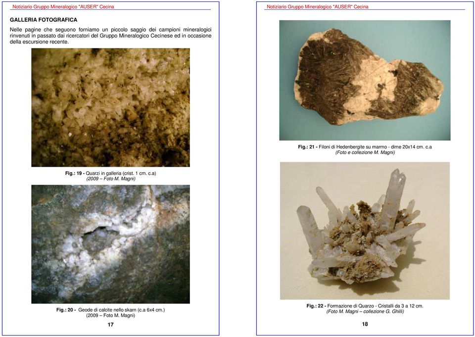 : 21 - Filoni di Hedenbergite su marmo - dime 20x14 cm. c.a (Foto e collezione M. Magni) Fig.