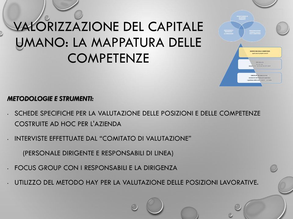 INTERVISTE EFFETTUATE DAL COMITATO DI VALUTAZIONE (PERSONALE DIRIGENTE E RESPONSABILI DI LINEA) FOCUS