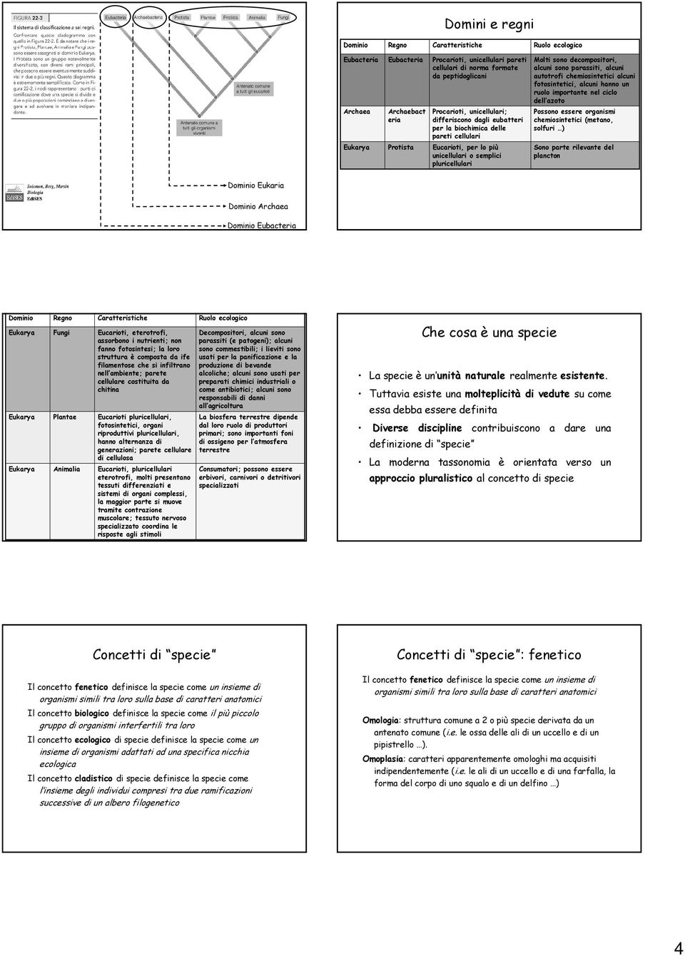 parassiti, alcuni autotrofi chemiosintetici alcuni fotosintetici, alcuni hanno un ruolo importante nel ciclo dell azoto Possono essere organismi chemiosintetici (metano, solfuri ) Sono parte