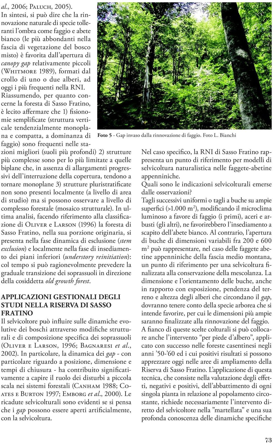 di canopy gap relativamente piccoli (Whitmore 1989), formati dal crollo di uno o due alberi, ad oggi i più frequenti nella RNI.