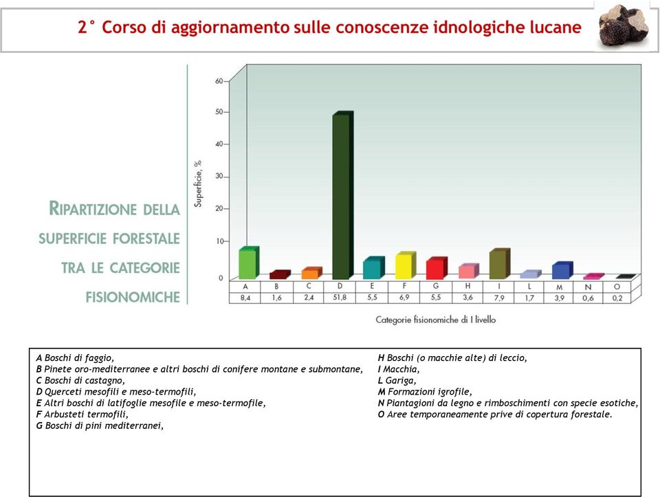 Arbusteti termofili, G Boschi di pini mediterranei, H Boschi (o macchie alte) di leccio, I Macchia, L Gariga, M