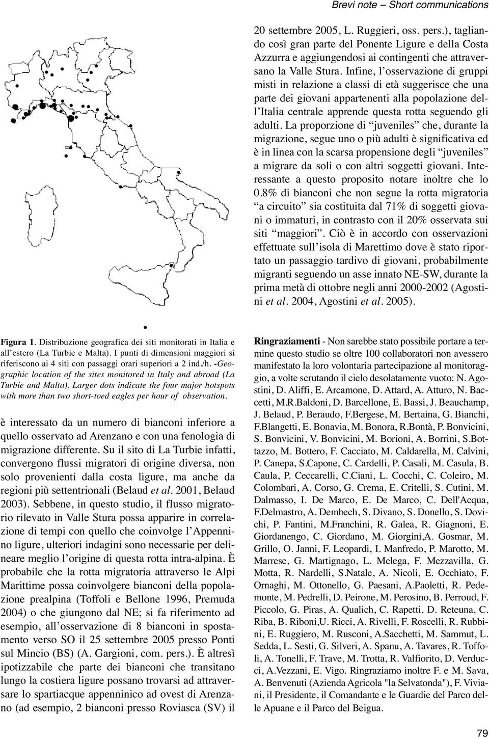 La proporzione di juveniles che, durante la migrazione, segue uno o più adulti è significativa ed è in linea con la scarsa propensione degli juveniles a migrare da soli o con altri soggetti giovani.