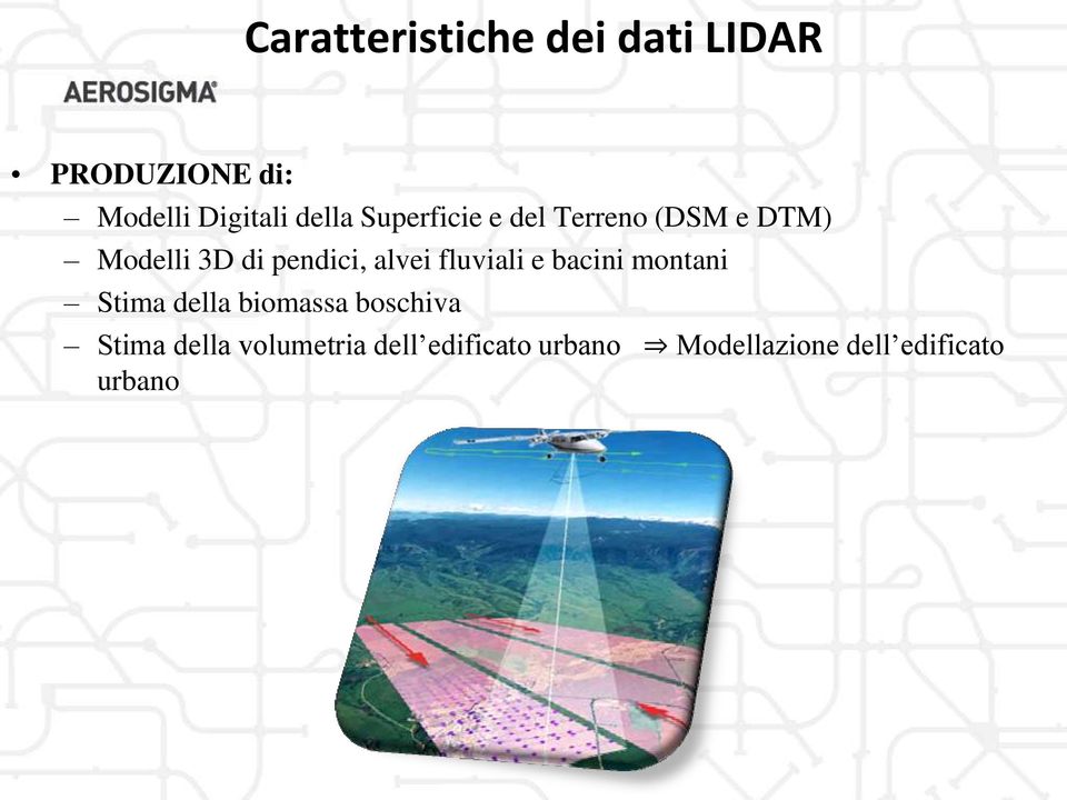 alvei fluviali e bacini montani Stima della biomassa boschiva Stima