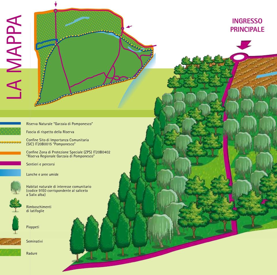 Riserva Regionale Garzaia di Pomponesco Sentieri e percorsi Lanche e aree umide Habitat naturale di interesse