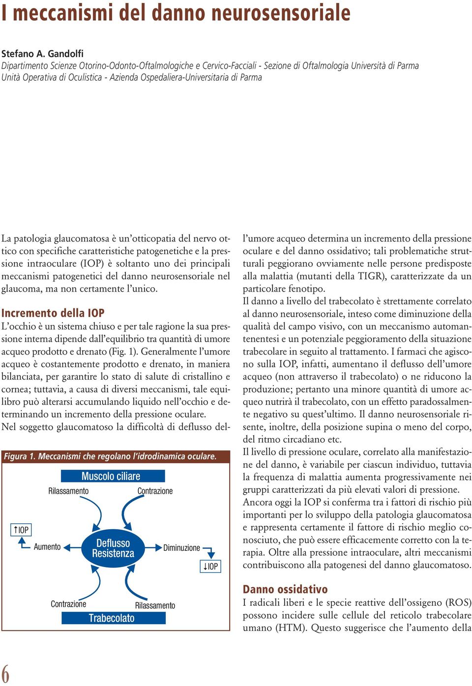 La patologia glaucomatosa è un otticopatia del nervo ottico con specifiche caratteristiche patogenetiche e la pressione intraoculare (IOP) è soltanto uno dei principali meccanismi patogenetici del