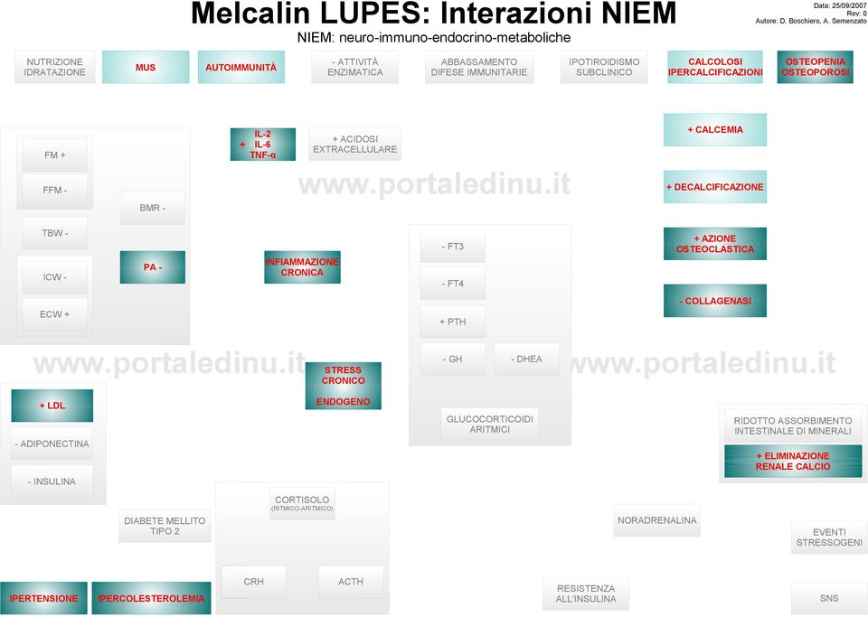 OSTEOPOROSI + CALCEMIA + ACIDOSI EXTRACELLULARE + IL-6 FM + ABBASSAMENTO DIFESE IMMUNITARIE + DECALCIFICAZIONE BMR TBW - + AZIONE OSTEOCLASTICA - FT3 ICW - INFIAMMAZIONE CRONICA PA - - FT4 -