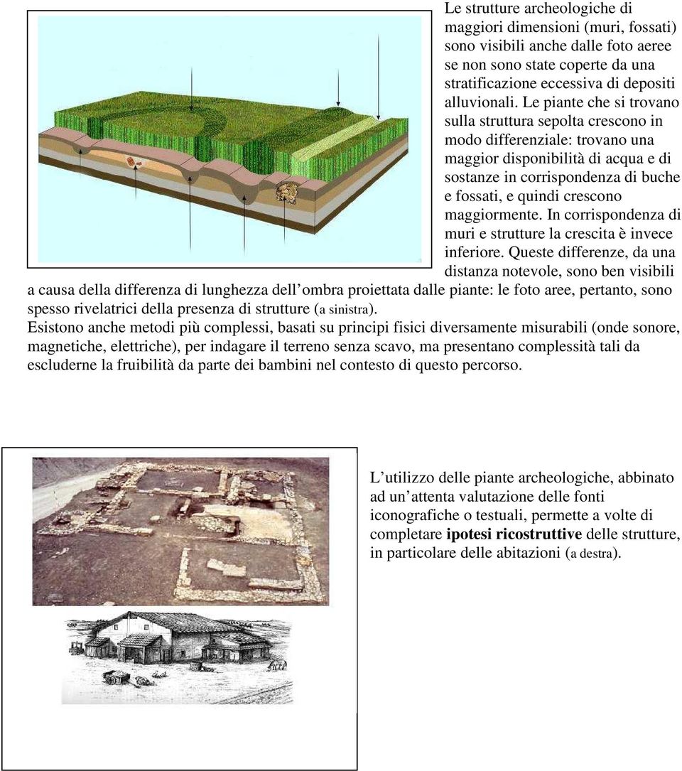 maggiormente. In corrispondenza di muri e strutture la crescita è invece inferiore.