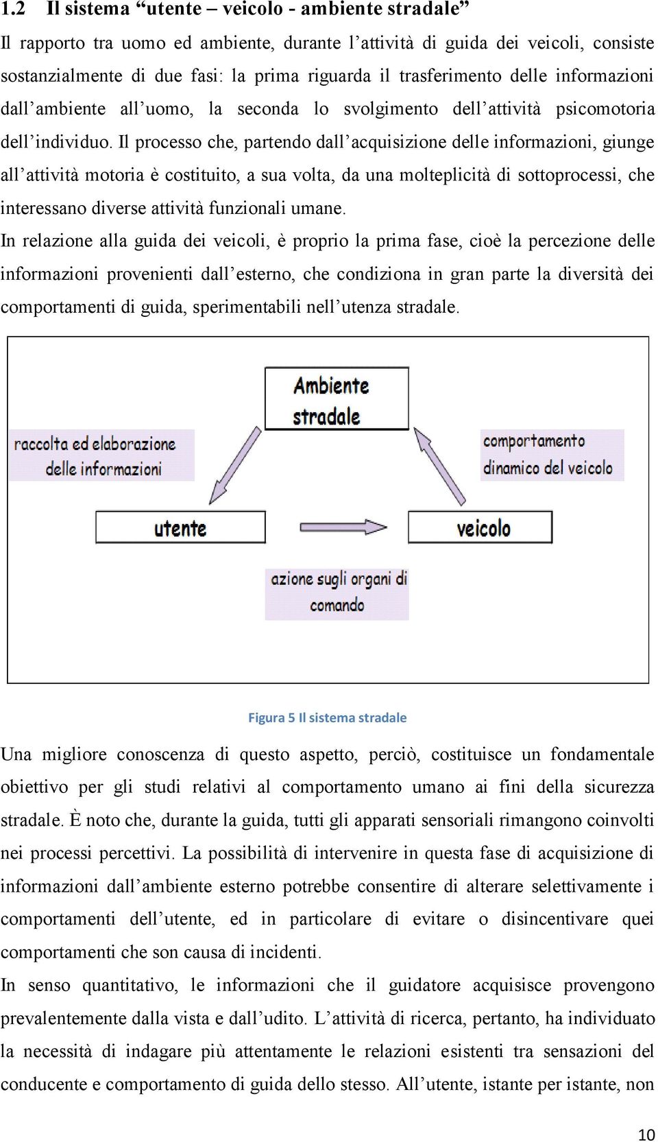 Il processo che, partendo dall acquisizione delle informazioni, giunge all attività motoria è costituito, a sua volta, da una molteplicità di sottoprocessi, che interessano diverse attività