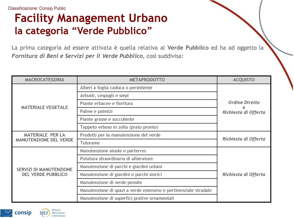 Arbusti, cespugli e siepi Piante erbacee e fioritura Palme e palmizi Piante grasse e succulente Tappeto erboso in zolla (prato pronto) Prodotti per la manutenzione del verde Tutorame Manutenzione