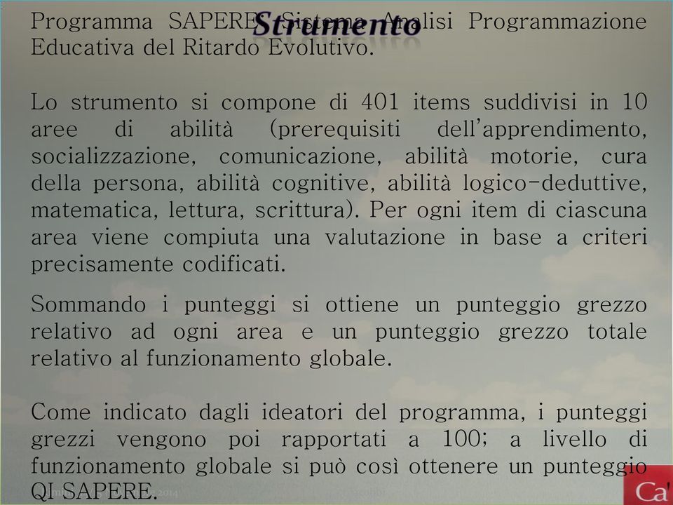 abilità logico-deduttive, matematica, lettura, scrittura). Per ogni item di ciascuna area viene compiuta una valutazione in base a criteri precisamente codificati.