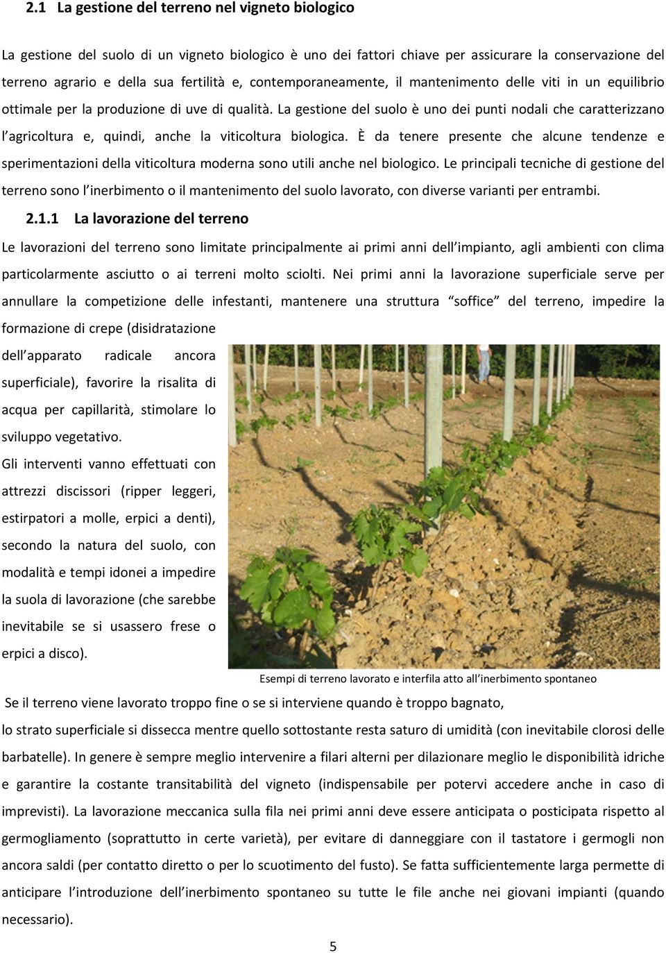 La gestione del suolo è uno dei punti nodali che caratterizzano l agricoltura e, quindi, anche la viticoltura biologica.