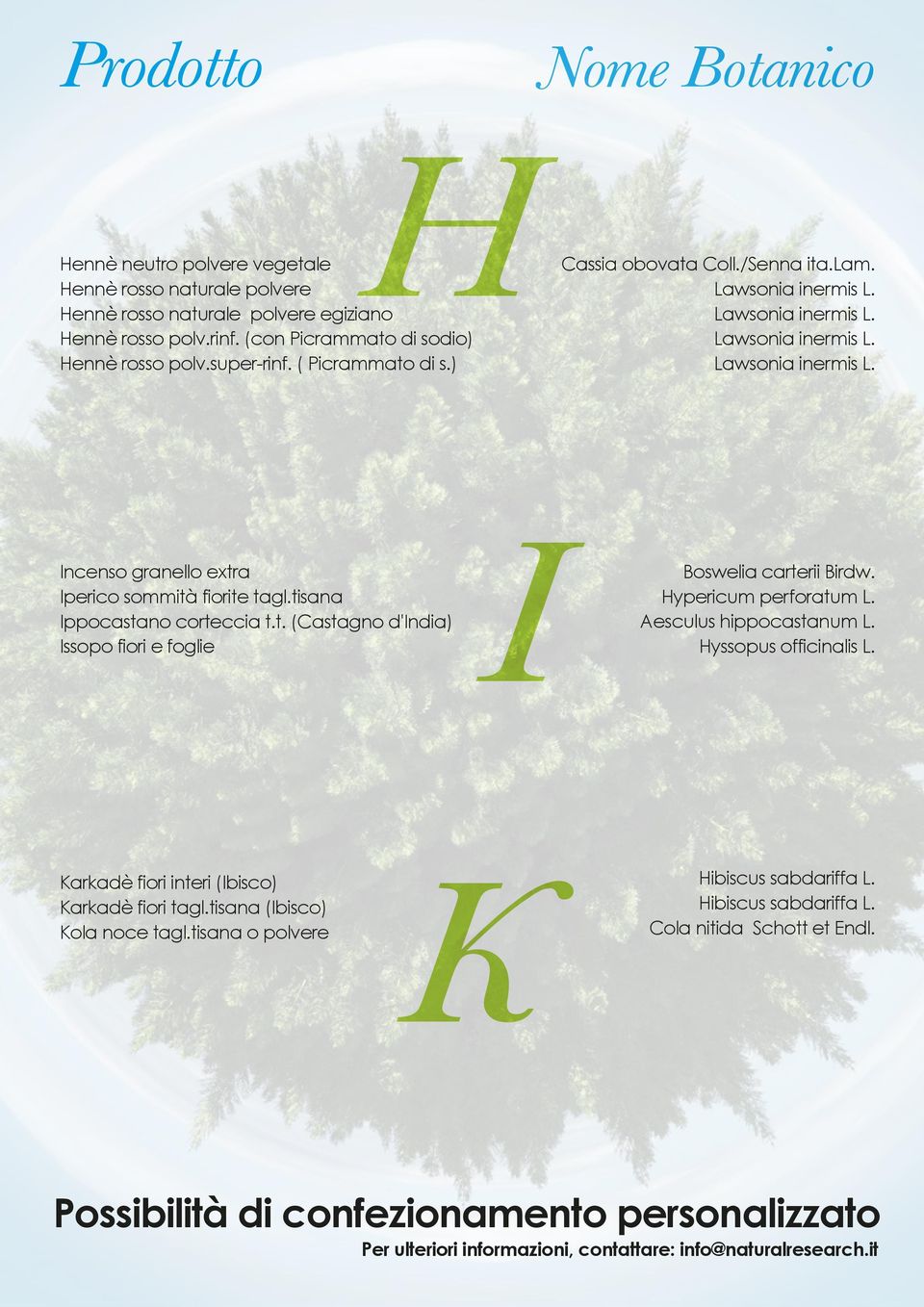 tisana Ippocastano corteccia t.t. (Castagno d'india) Issopo fiori e foglie I Boswelia carterii Birdw. Hypericum perforatum L. Aesculus hippocastanum L. Hyssopus officinalis L.