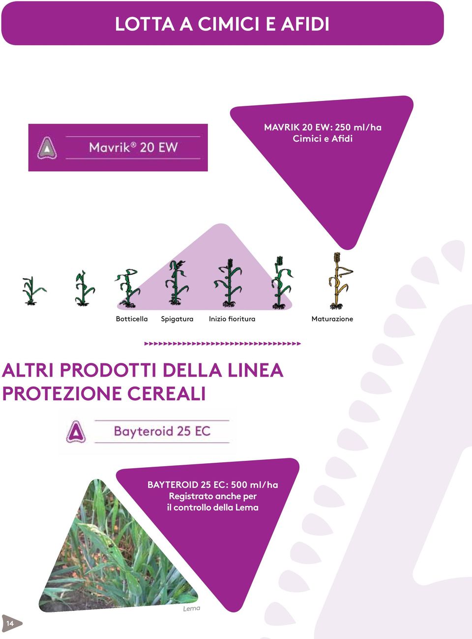 ALTRI PRODOTTI DELLA LINEA PROTEZIONE CEREALI BAYTEROID 25