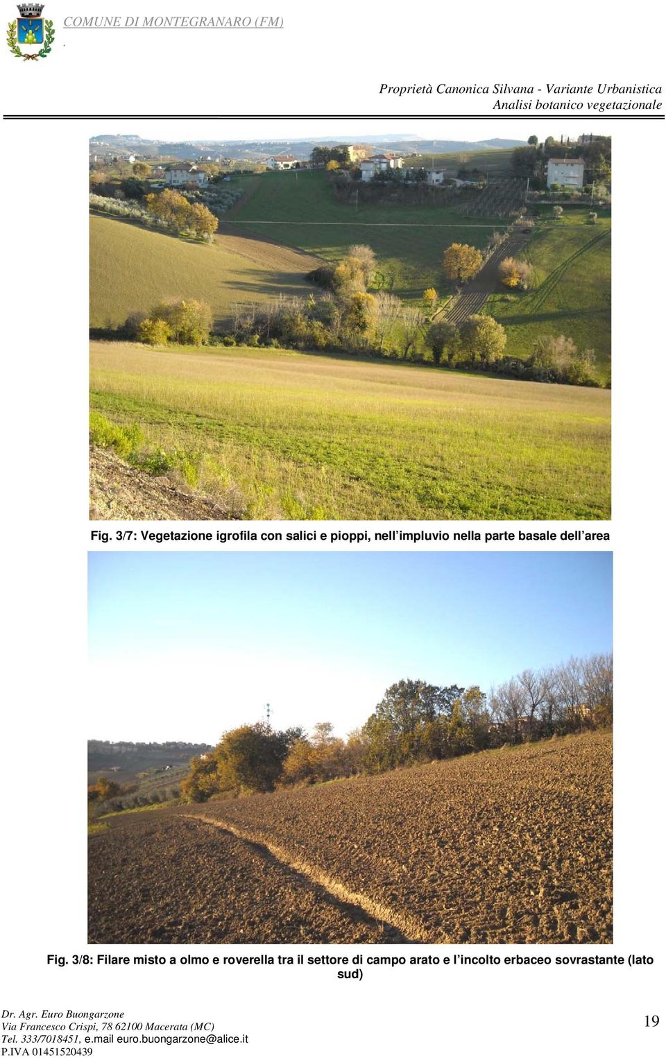 settore di campo arato e l incolto erbaceo sovrastante (lato sud) Dr