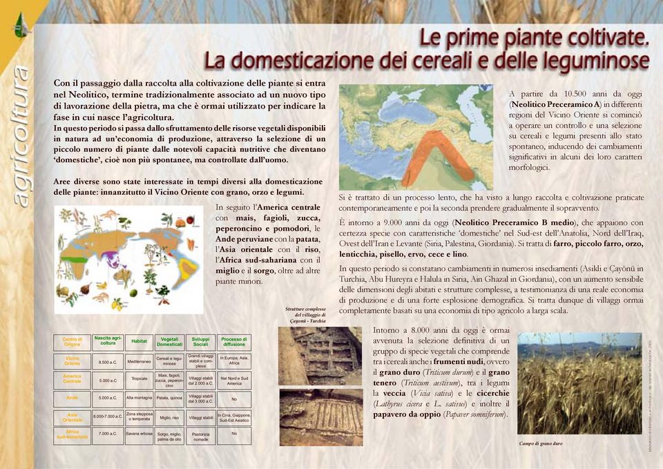 In questo periodo si passa dallo sfruttamento delle risorse vegetali disponibili in natura ad un economia di produzione, attraverso la selezione di un piccolo numero di piante dalle notevoli capacità