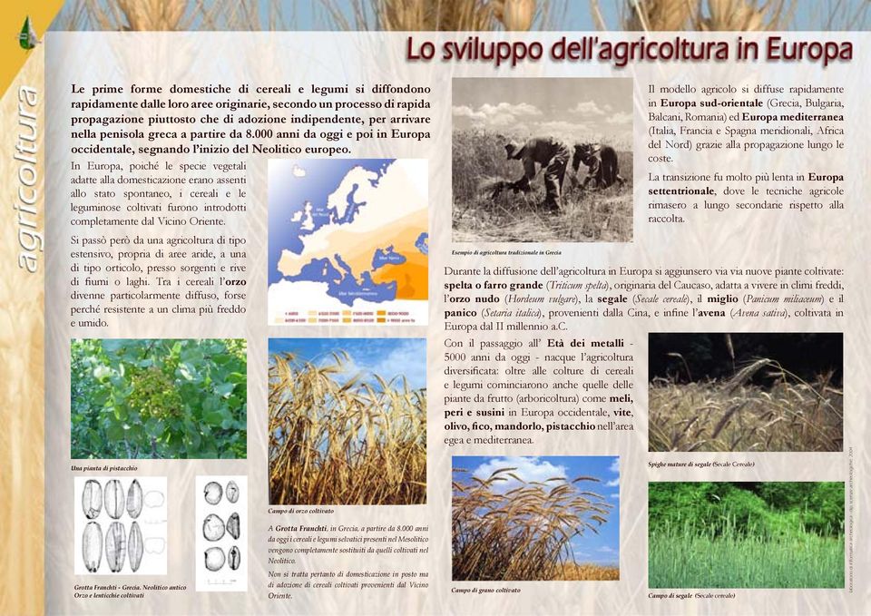 In Europa, poiché le specie vegetali adatte alla domesticazione erano assenti allo stato spontaneo, i cereali e le leguminose coltivati furono introdotti completamente dal Vicino Oriente.