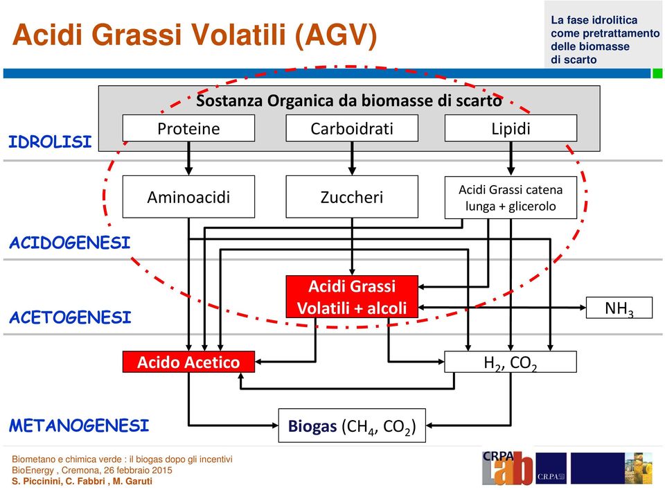 lunga + glicerolo ACIDOGENESI ACETOGENESI Acidi Grassi Volatili +