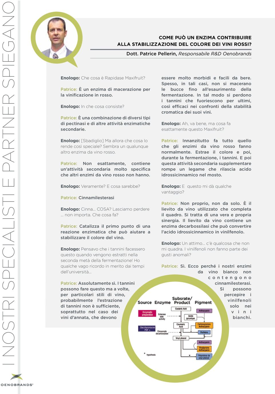 Sembra un qualunque altro enzima da vino rosso. Patrice: Non esattamente, contiene un attività secondaria molto specifica che altri enzimi da vino rosso non hanno. Enologo: Veramente? E cosa sarebbe?
