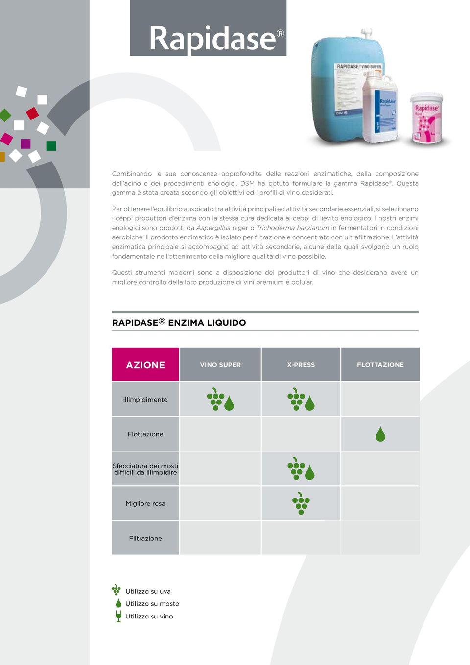 Per ottenere l equilibrio auspicato tra attività principali ed attività secondarie essenziali, si selezionano i ceppi produttori d enzima con la stessa cura dedicata ai ceppi di lievito enologico.