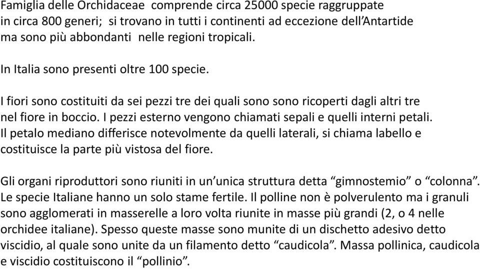 I pezzi esterno vengono chiamati sepali e quelli interni petali. Il petalo mediano differisce notevolmente da quelli laterali, si chiama labello e costituisce la parte più vistosa del fiore.