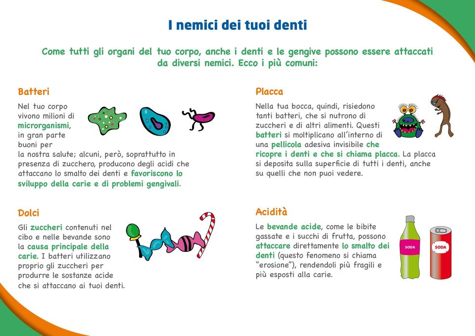 lo smalto dei denti e favoriscono lo sviluppo della carie e di problemi gengivali. Placca Nella tua bocca quindi risiedono tanti batteri che si nutrono di zuccheri e di altri alimenti.