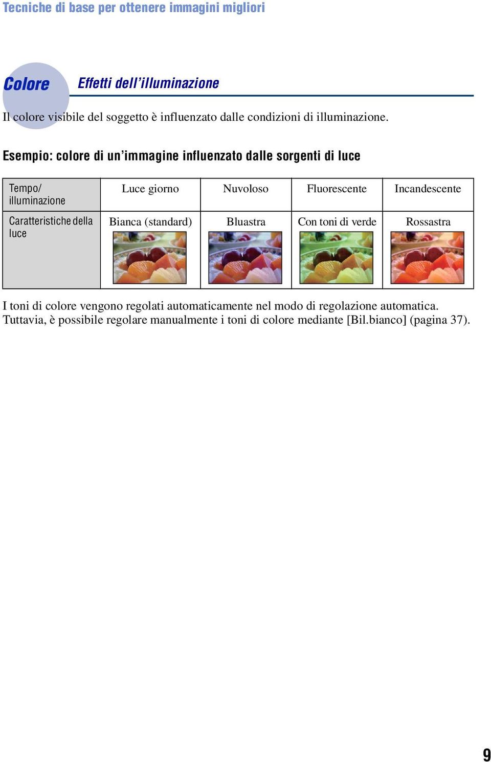 Esempio: colore di un immagine influenzato dalle sorgenti di luce Tempo/ illuminazione Caratteristiche della luce Luce giorno Nuvoloso