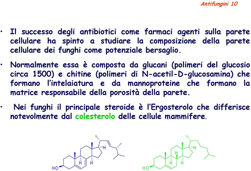 ormalmente essa è composta da glucani (polimeri del glucosio circa 1500) e chitine (polimeri di -acetil-d-glucosamina) che formano l