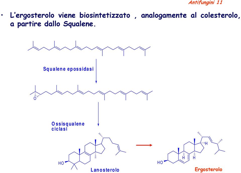 Squalene.