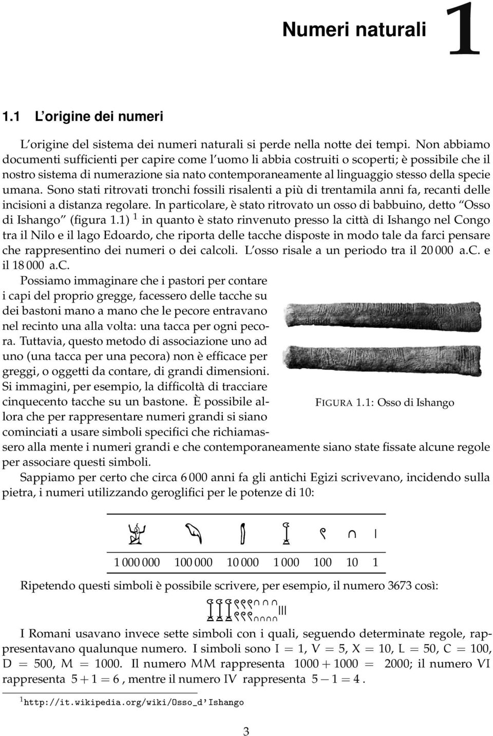 umana. Sono stati ritrovati tronchi fossili risalenti a più di trentamila anni fa, recanti delle incisioni a distanza regolare.