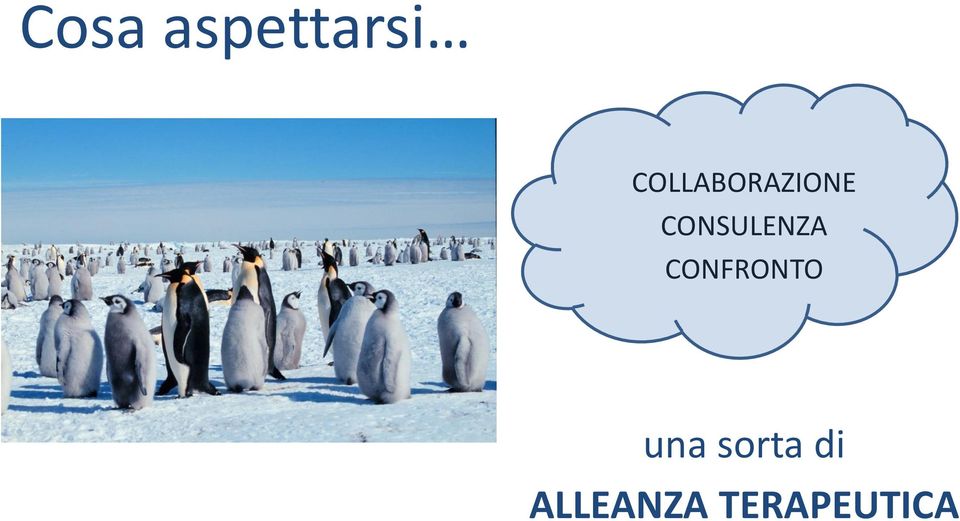 CONSULENZA CONFRONTO