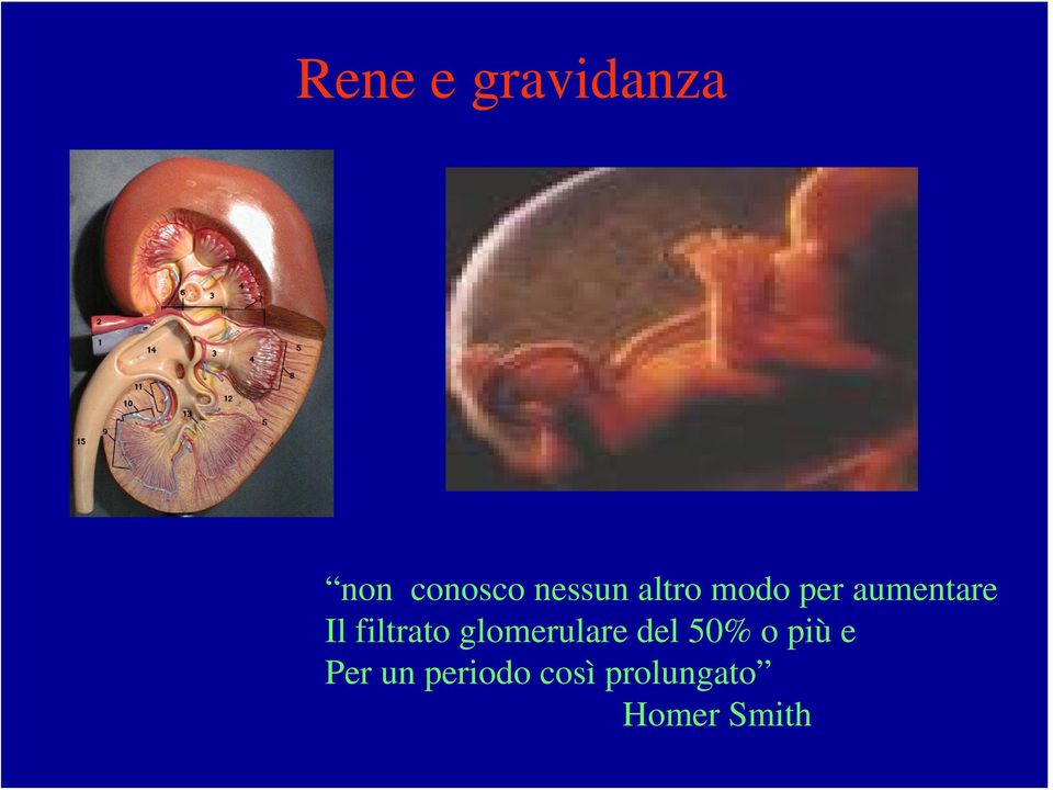 glomerulare del 50% o più e Per