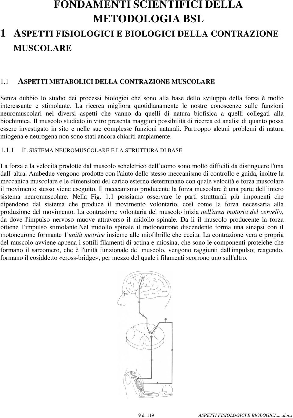 La ricerca migliora quotidianamente le nostre conoscenze sulle funzioni neuromuscolari nei diversi aspetti che vanno da quelli di natura biofisica a quelli collegati alla biochimica.