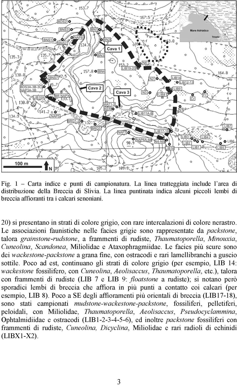 Le associazioni faunistiche nelle facies grigie sono rappresentate da packstone, talora grainstone-rudstone, a frammenti di rudiste, Thaumatoporella, Minouxia, Cuneolina, Scandonea, Miliolidae e