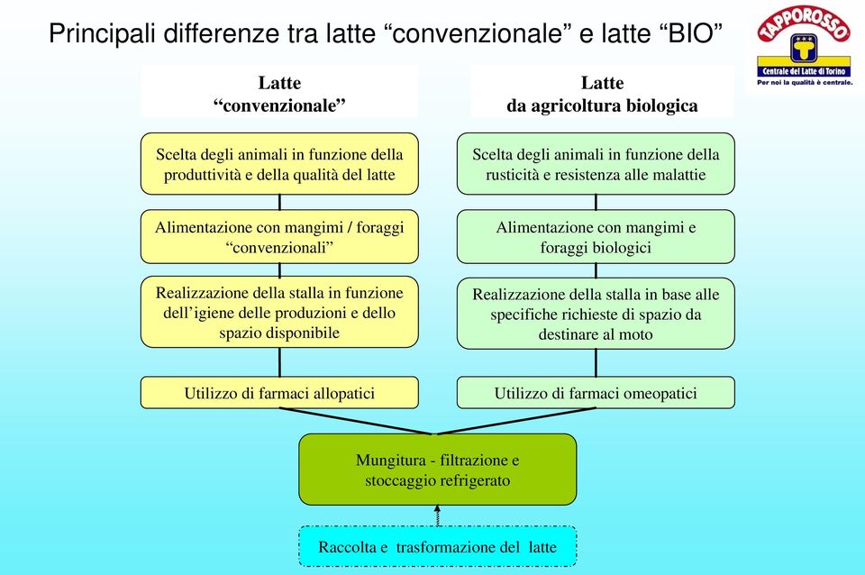 stalla in funzione dell igiene delle produzioni e dello spazio disponibile Alimentazione con mangimi e foraggi biologici Realizzazione della stalla in base alle specifiche