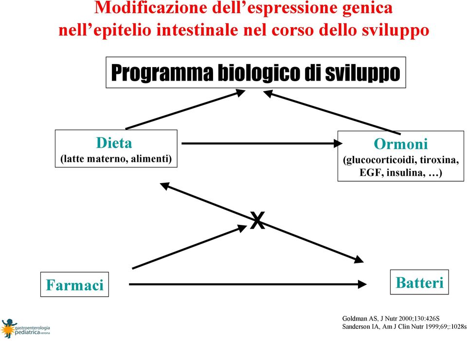 alimenti) Ormoni (glucocorticoidi, tiroxina, EGF, insulina, ) X Farmaci