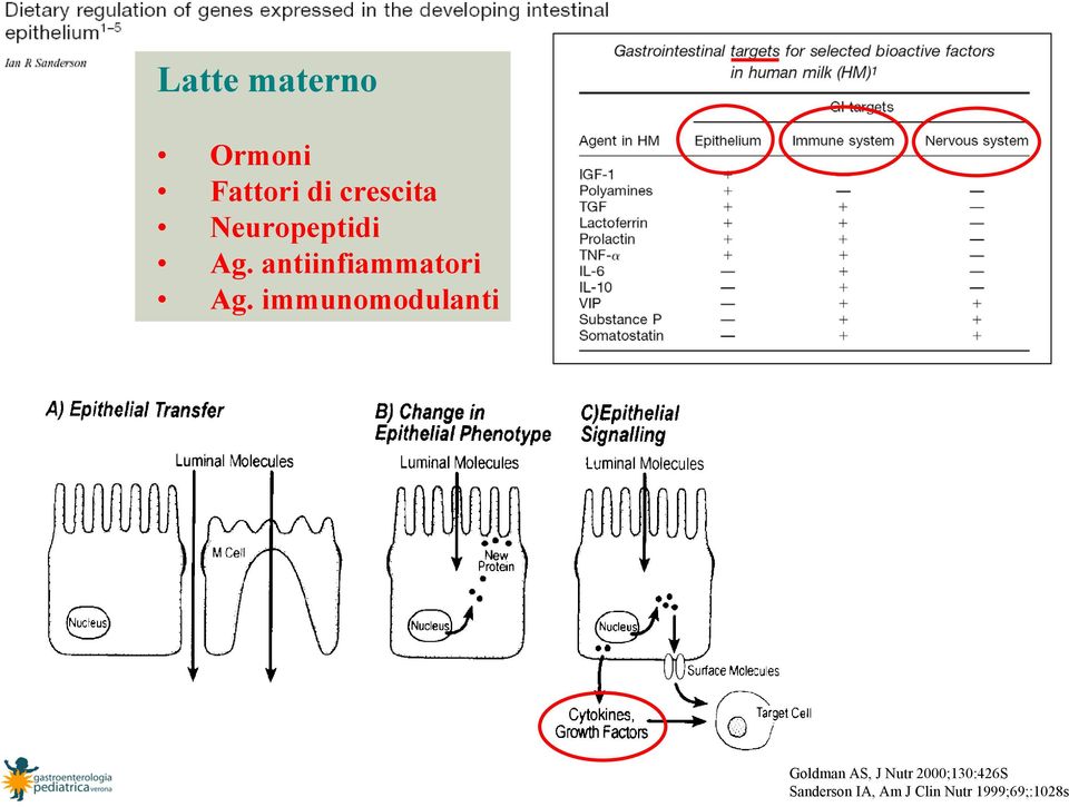 immunomodulanti Goldman AS, J Nutr