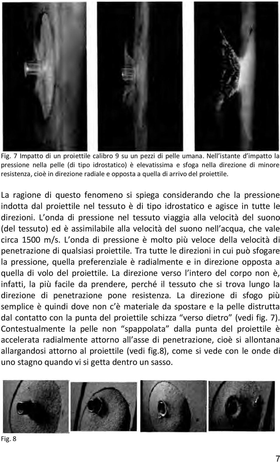 proiettile. La ragione di questo fenomeno si spiega considerando che la pressione indotta dal proiettile nel tessuto è di tipo idrostatico e agisce in tutte le direzioni.