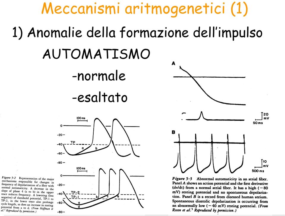 formazione dell impulso