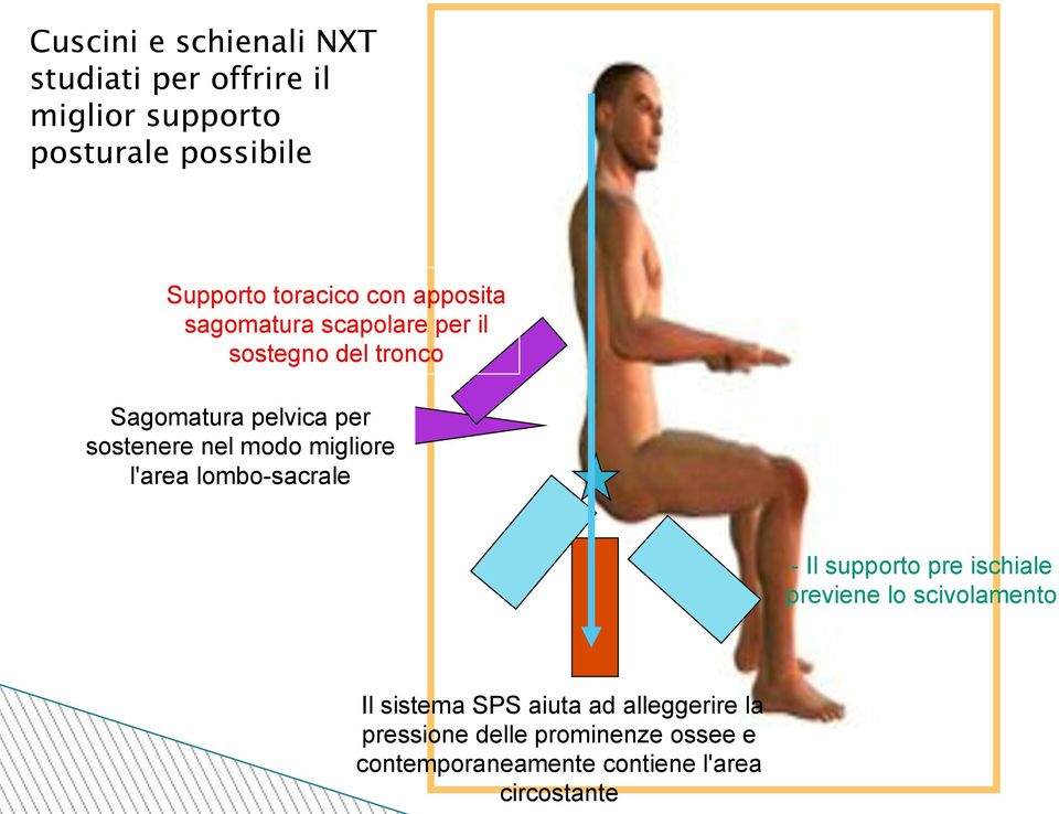 sostenere nel modo migliore l'area lombo-sacrale - Il supporto pre ischiale previene lo scivolamento