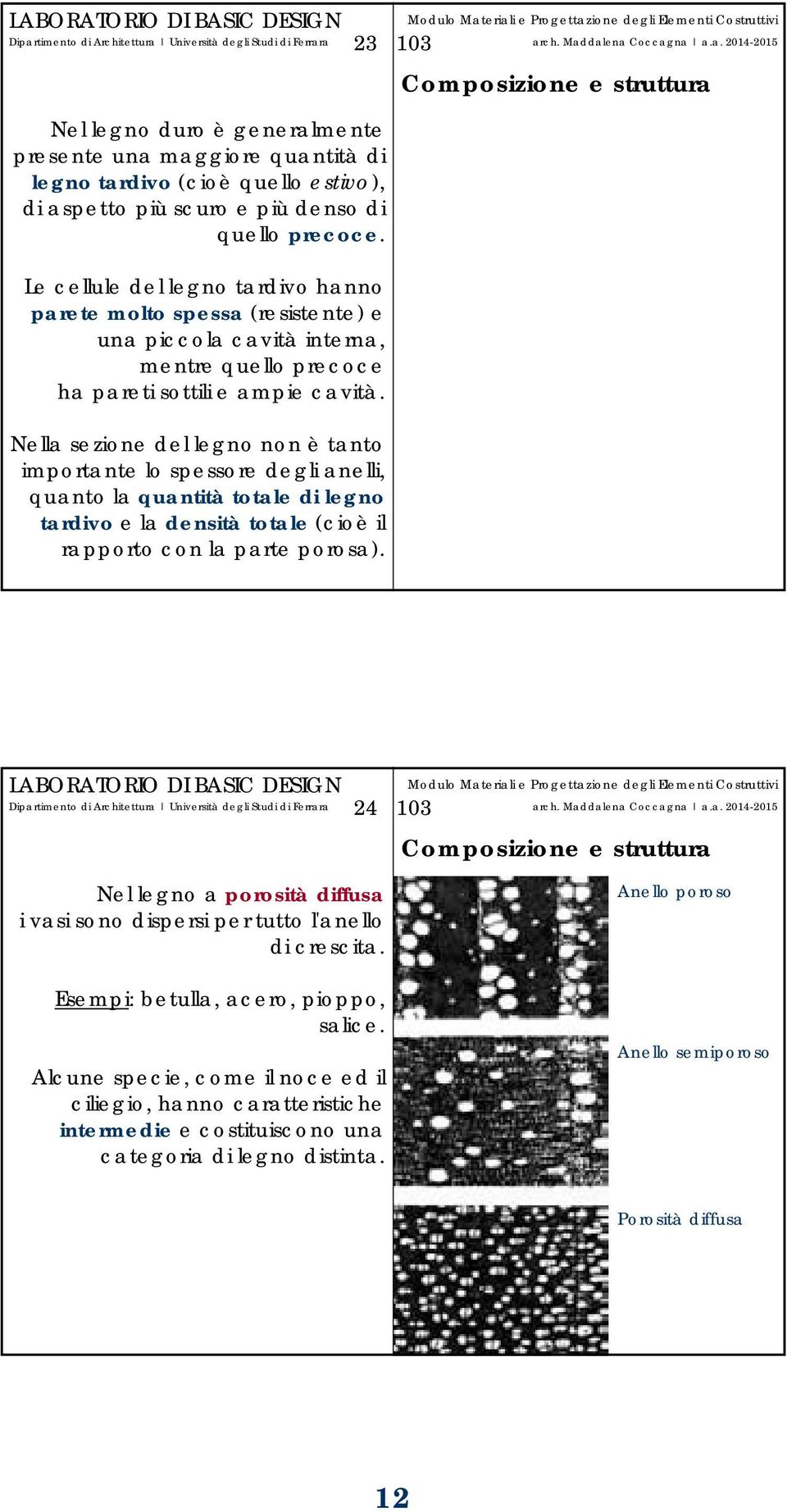 Nella sezione del legno non è tanto importante lo spessore degli anelli, quanto la quantità totale di legno tardivo e la densità totale (cioè il rapporto con la parte porosa).