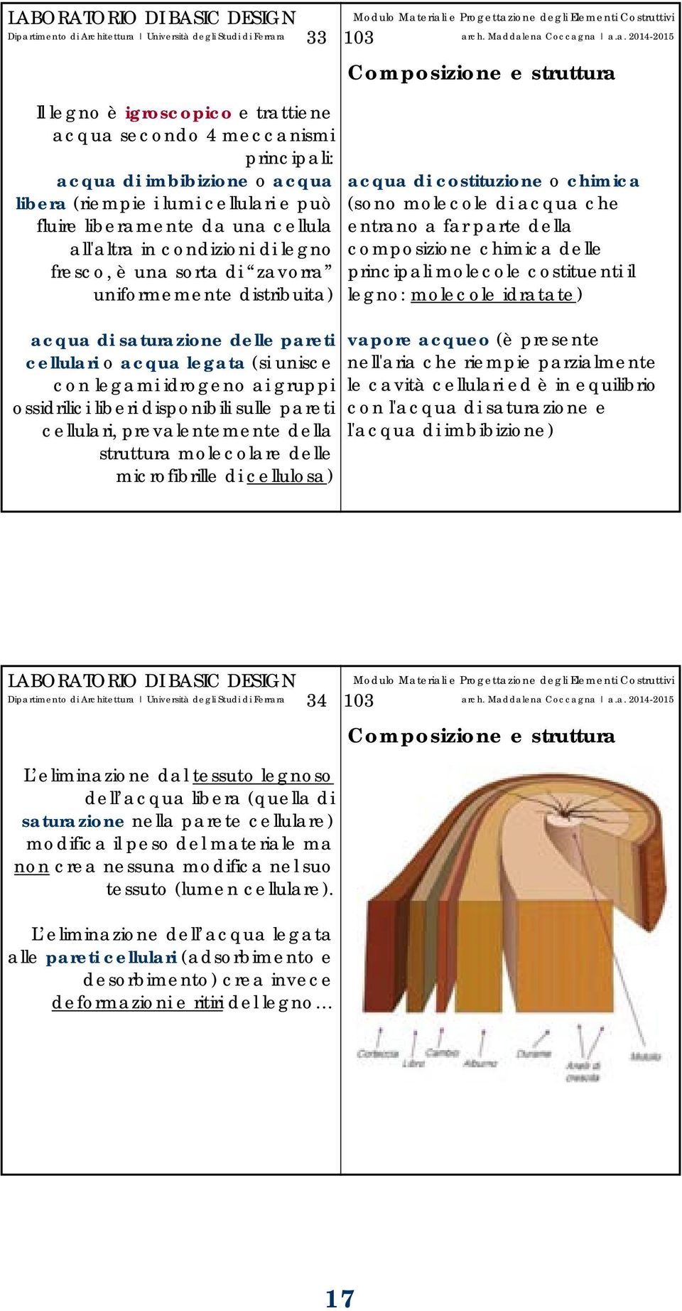 disponibili sulle pareti cellulari, prevalentemente della struttura molecolare delle microfibrille di cellulosa) acqua di costituzione o chimica (sono molecole di acqua che entrano a far parte della