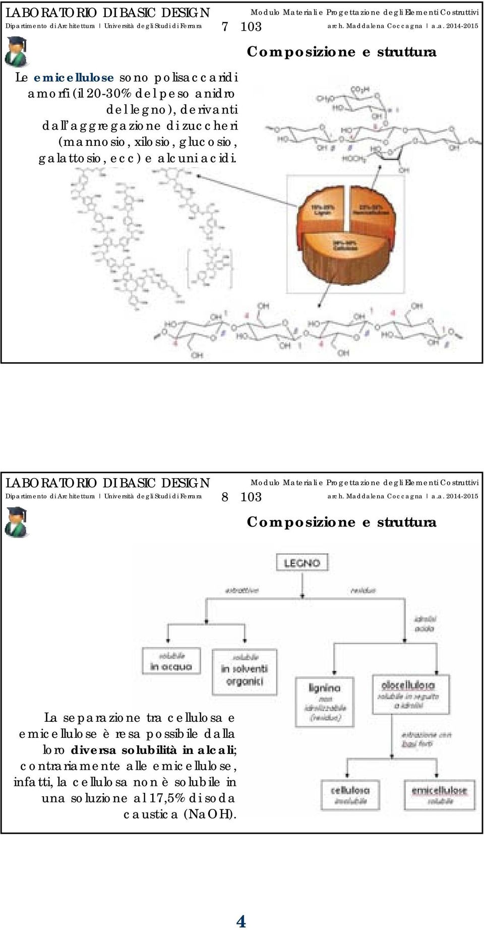 8 103 La separazione tra cellulosa e emicellulose è resa possibile dalla loro diversa solubilità in