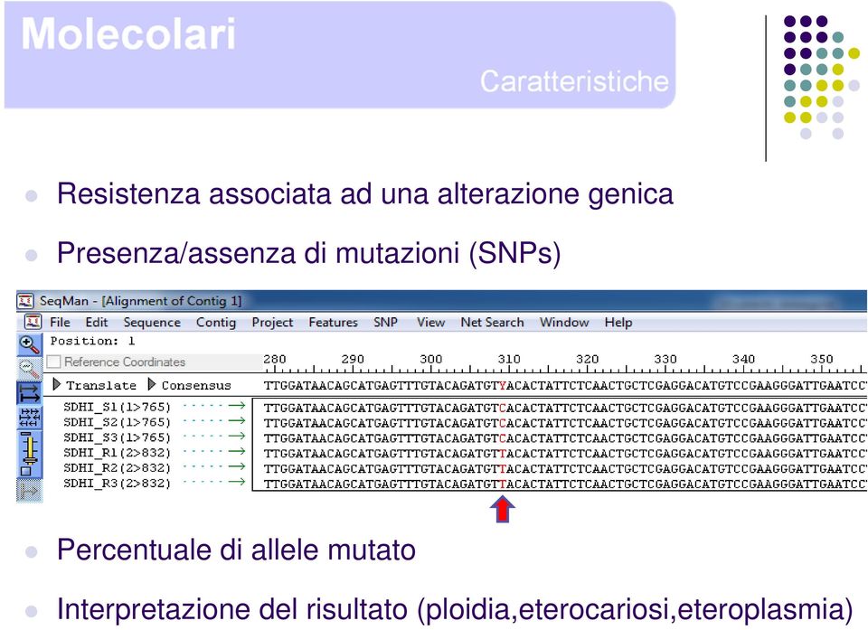 Percentuale di allele mutato Interpretazione