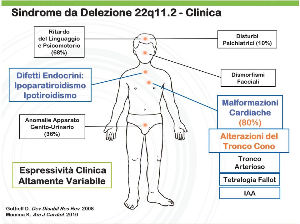 Ipoparatiroidismo Ipotiroidismo Anomalie Apparato Genito-Urinario (36%) Espressività Clinica Altamente