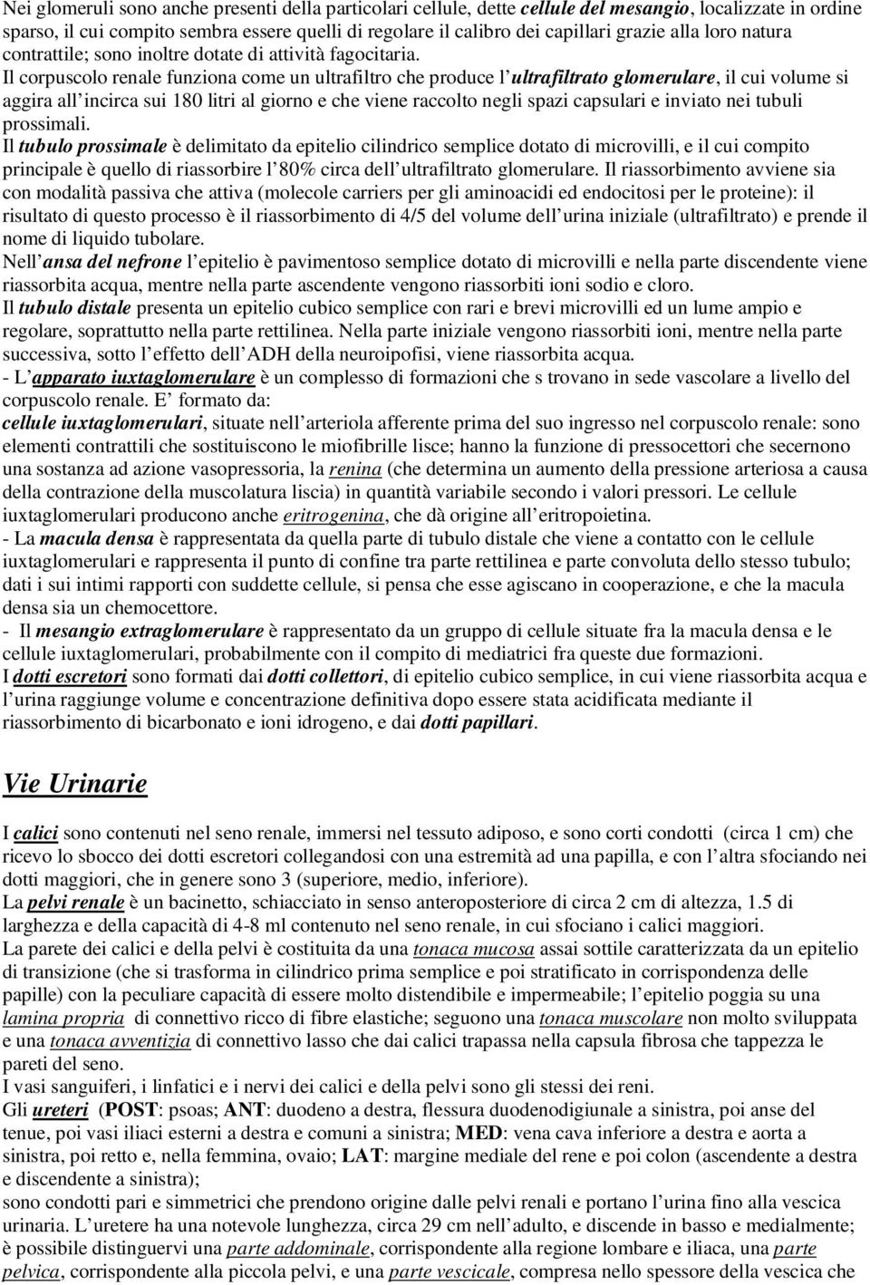 Il corpuscolo renale funziona come un ultrafiltro che produce l ultrafiltrato glomerulare, il cui volume si aggira all incirca sui 180 litri al giorno e che viene raccolto negli spazi capsulari e