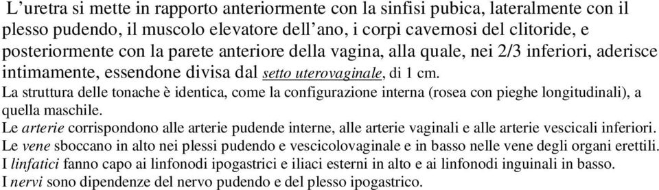 La struttura delle tonache è identica, come la configurazione interna (rosea con pieghe longitudinali), a quella maschile.