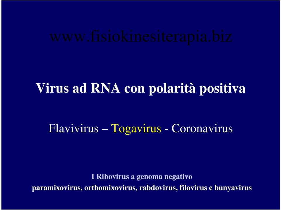Flavivirus Togavirus Coronavirus I Ribovirus a