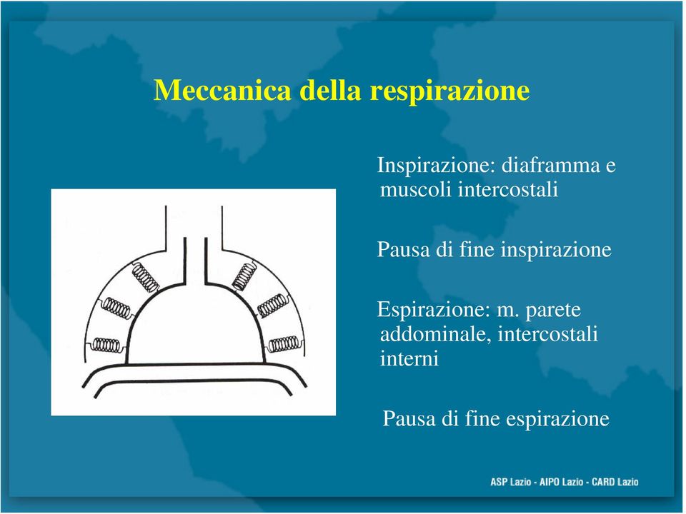 fine inspirazione Espirazione: m.