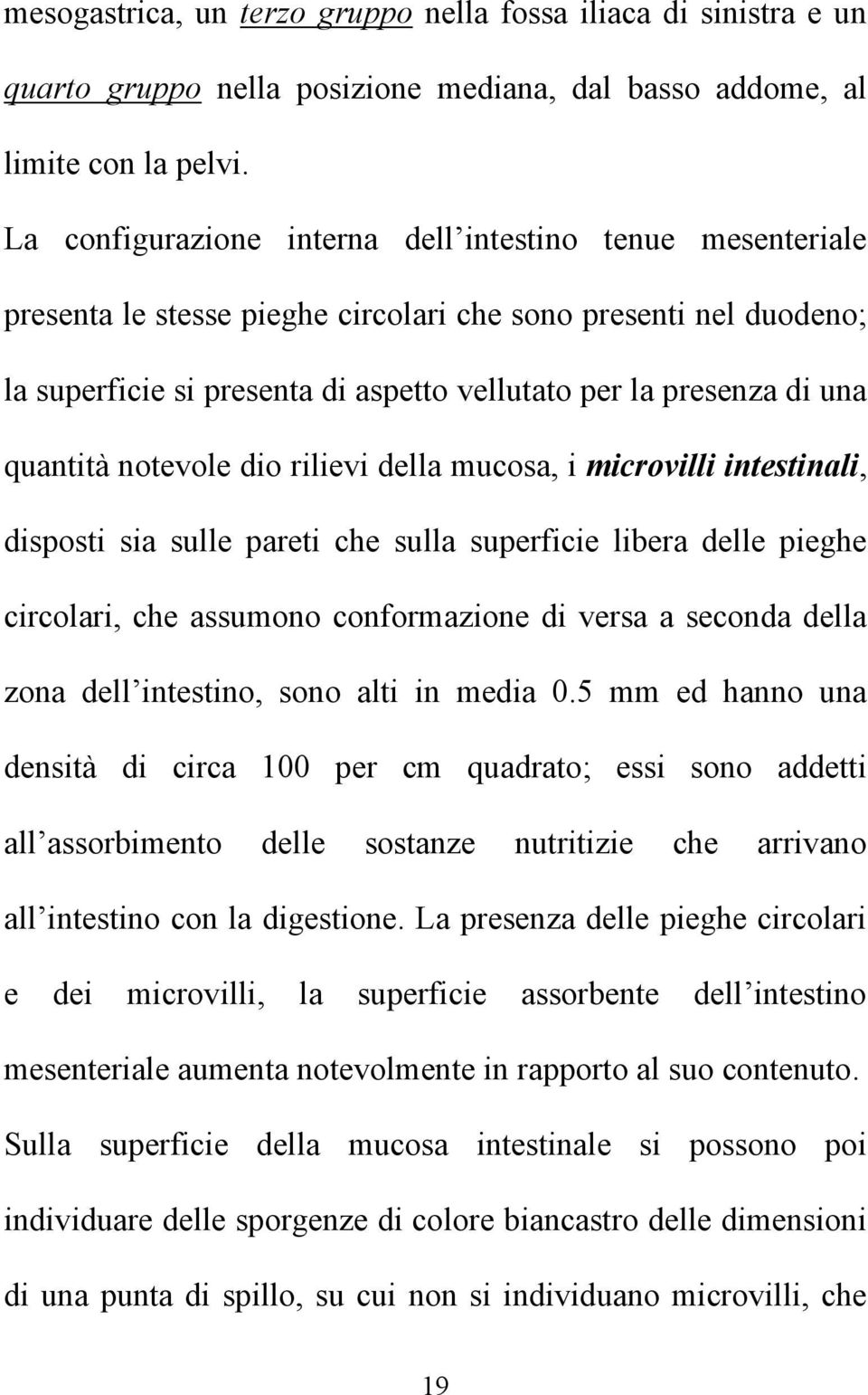 quantità notevole dio rilievi della mucosa, i microvilli intestinali, disposti sia sulle pareti che sulla superficie libera delle pieghe circolari, che assumono conformazione di versa a seconda della