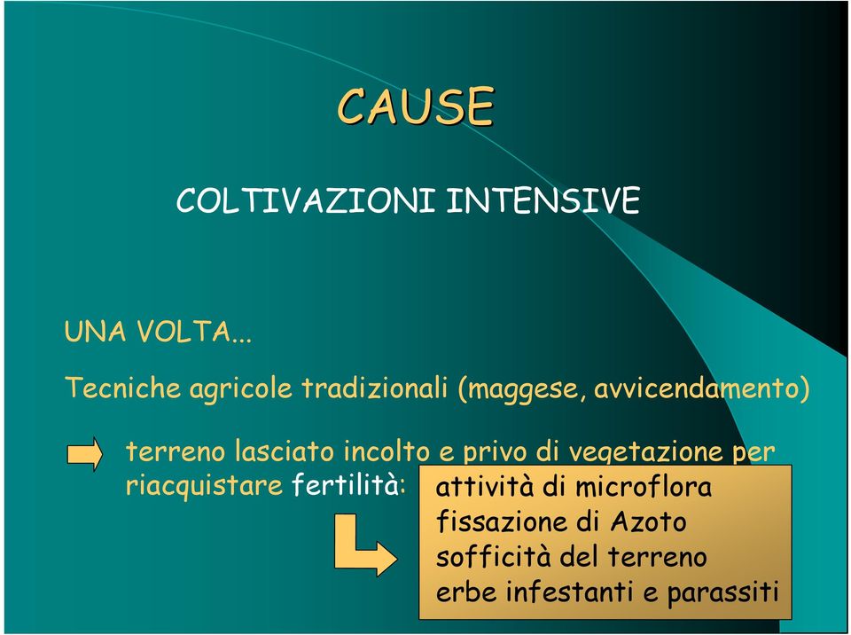 terreno lasciato incolto e privo di vegetazione per riacquistare